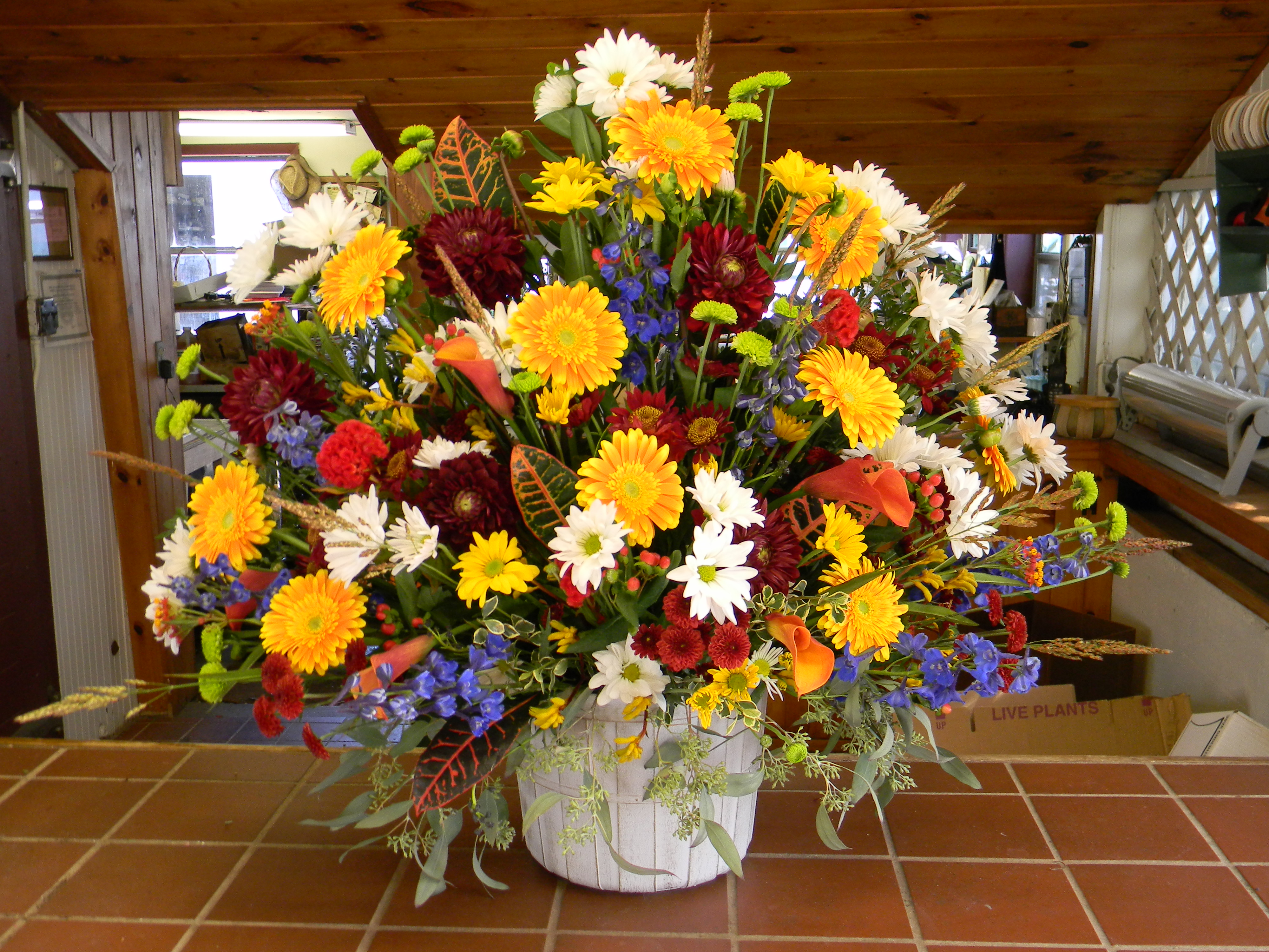 North Scituate RIFlowersPlantsThe Country Gardener RIProducts